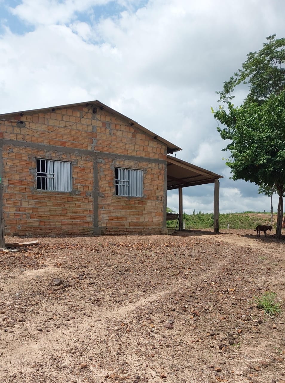 Imagem Fazenda à Venda, 9 Alq MGem Nova Marabá - Marabá Imagem Fazenda à Venda, 9 Alq MGem Nova Marabá - Marabá