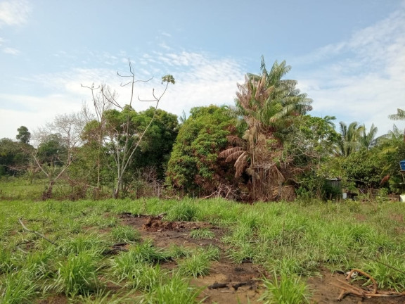 Imagem Terreno à Venda, 2.000 m² em Zona Rural - Humaitá Imagem Terreno à Venda, 2.000 m² em Zona Rural - Humaitá