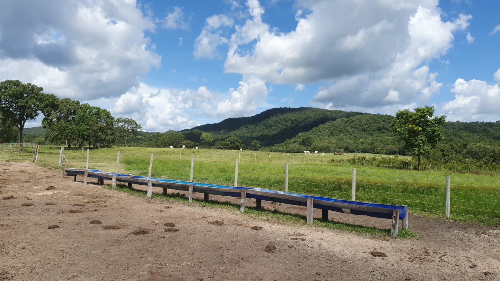Imagem Fazenda à Venda, 136 Alq GOem ZONA RURAL - Crixás Imagem Fazenda à Venda, 136 Alq GOem ZONA RURAL - Crixás