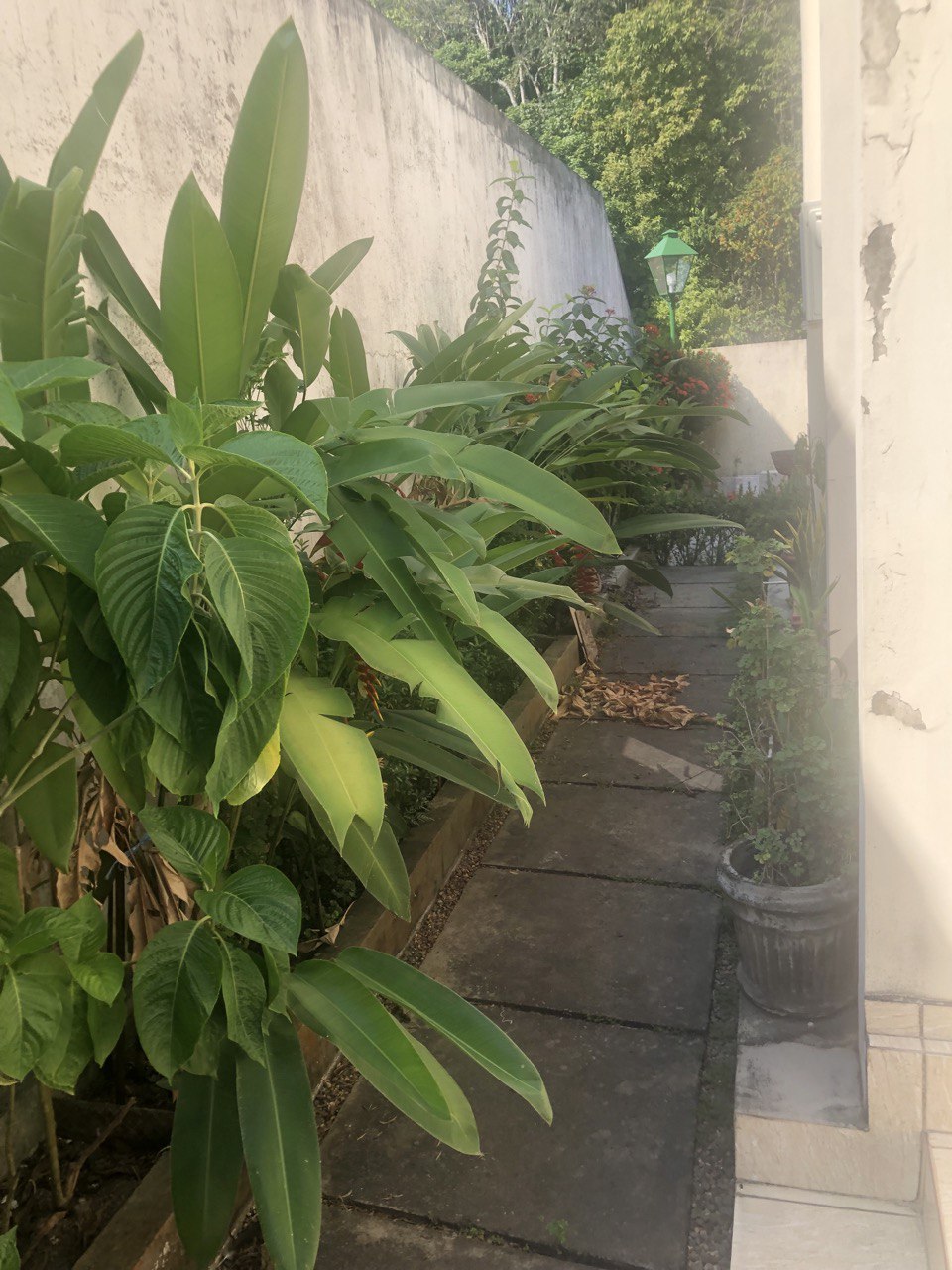 Imagem Casa de Condomínio com 3 Quartos à Venda, 215 m²em Aleixo - Manaus
