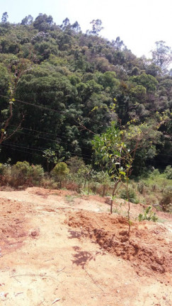 Imagem Terreno à Venda, 500 m² em Vila Cristo Redentor - Várzea Paulista Imagem Terreno à Venda, 500 m² em Vila Cristo Redentor - Várzea Paulista