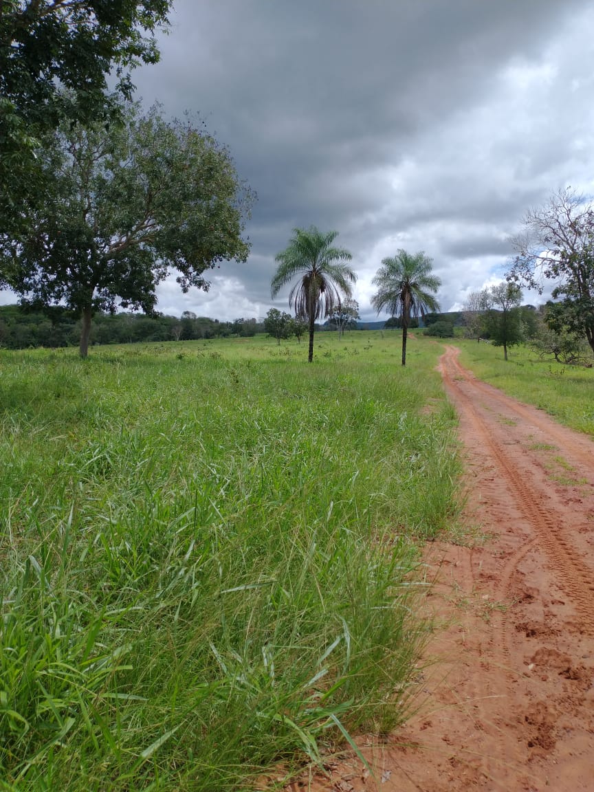 Imagem Fazenda à Venda, 2 HAem Zona Rural - Campinápolis Imagem Fazenda à Venda, 2 HAem Zona Rural - Campinápolis