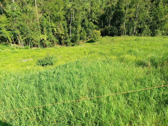 Imagem Terreno à Venda,  em Barracão - Orleans