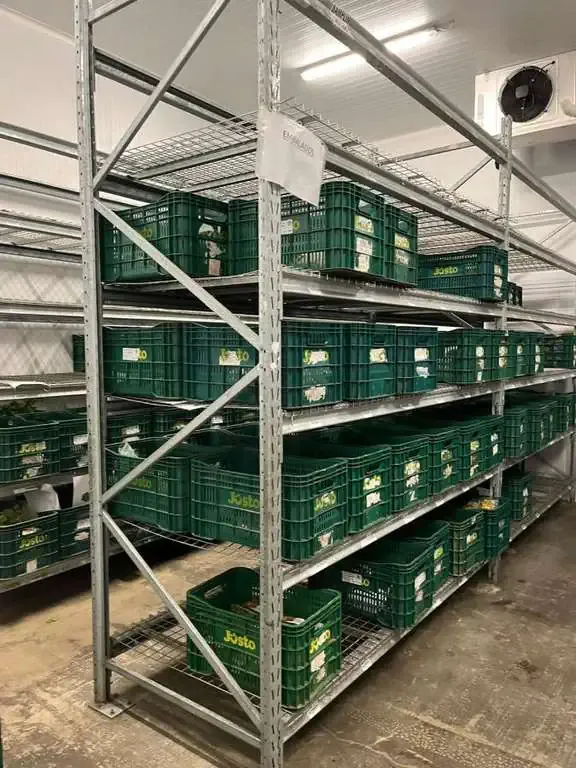 Imagem Galpão para Alugar, 5.000 m² em Parque São Domingos - São Paulo