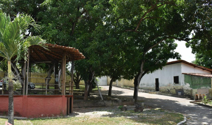 Imagem Fazenda à Venda ou Locação, 300 m² em Vila Esperança - São Luís