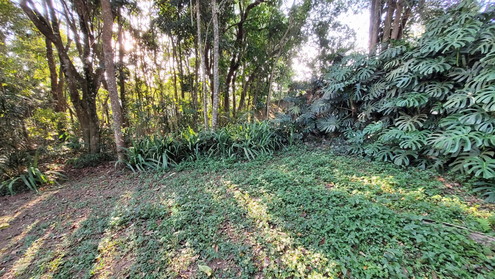 Imagem Casa de Condomínio com 2 Quartos à Venda, 120 m²em Jardim Colibri - Embu das Artes Imagem Casa de Condomínio com 2 Quartos à Venda, 120 m²em Jardim Colibri - Embu das Artes