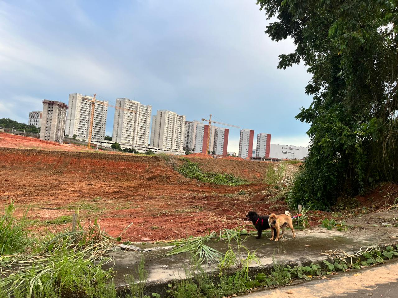 Imagem Terreno à Venda, 312 m²em Ponta Negra - Manaus