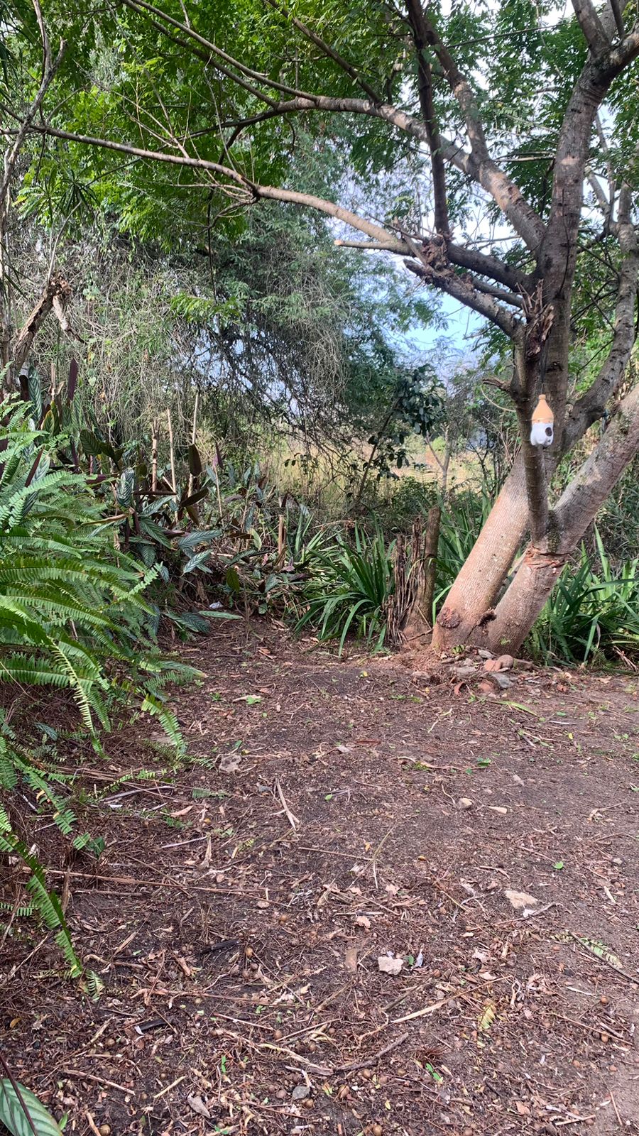Imagem Terreno à Venda, 17.850 m² em Realengo - Rio de Janeiro Imagem Terreno à Venda, 17.850 m² em Realengo - Rio de Janeiro