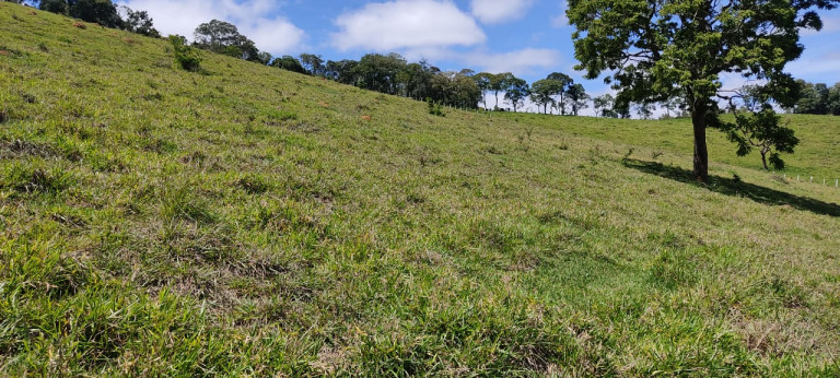 Imagem Terreno à Venda, 500 m² em moinho - Nazaré Paulista Imagem Terreno à Venda, 500 m² em moinho - Nazaré Paulista