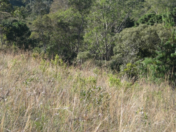 Imagem Terreno à Venda, 1.380 m² em Descansopolis - Campos do Jordão Imagem Terreno à Venda, 1.380 m² em Descansopolis - Campos do Jordão