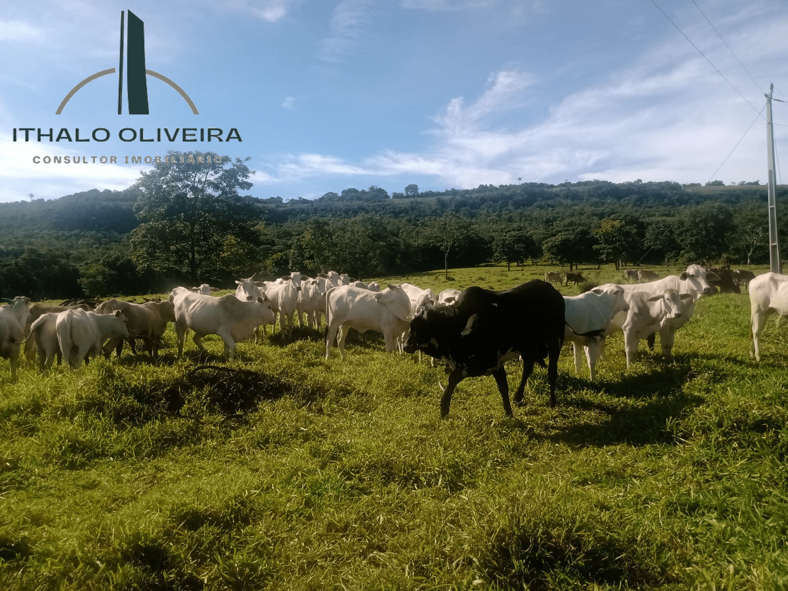 Imagem Chácara com 8 Quartos à Venda, 29 m²em Zona Rural - Paranaiguara Imagem Chácara com 8 Quartos à Venda, 29 m²em Zona Rural - Paranaiguara