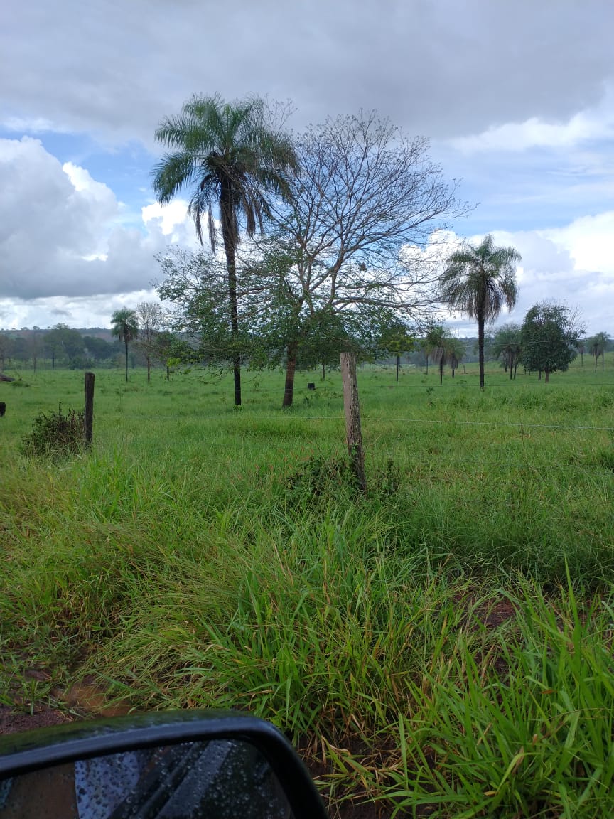 Imagem Fazenda à Venda, 2 HAem Zona Rural - Campinápolis Imagem Fazenda à Venda, 2 HAem Zona Rural - Campinápolis