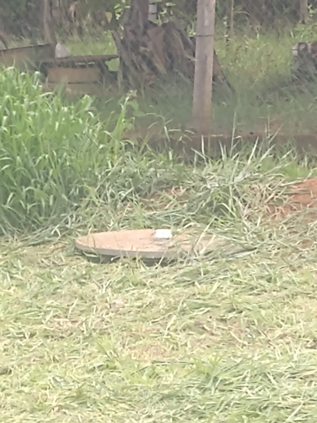 Imagem Chácara com 2 Quartos à Venda, 120 m²em Borda da Mata - Caçapava