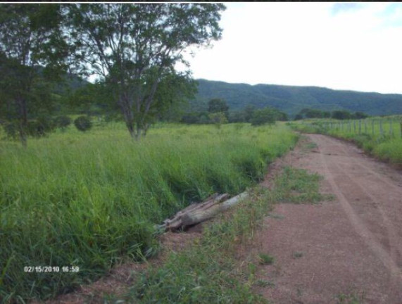 Chácara com 5 Quartos à Venda, em Centro - Simolândia