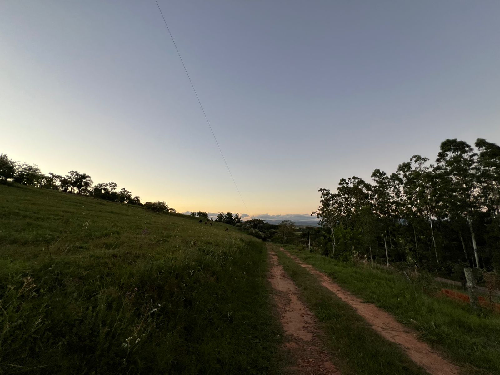 Imagem Chácara à Venda, 100.000 m²em Lomba Grande - Novo Hamburgo