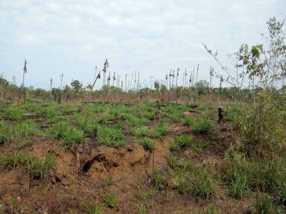 Imagem Terreno à Venda, 2.000 m² em Zona Rural - Humaitá Imagem Terreno à Venda, 2.000 m² em Zona Rural - Humaitá