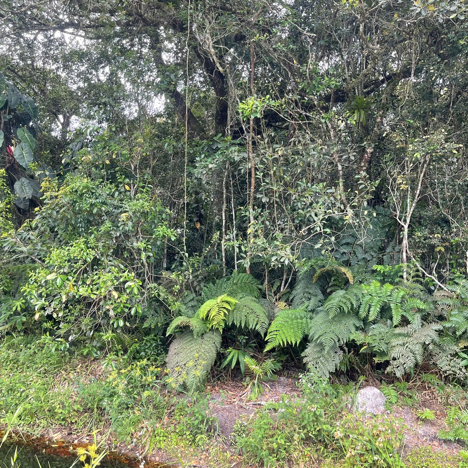 Imagem Terreno à Venda, 373 m²em Jardim Maramba II - Itanhaém Imagem Terreno à Venda, 373 m²em Jardim Maramba II - Itanhaém
