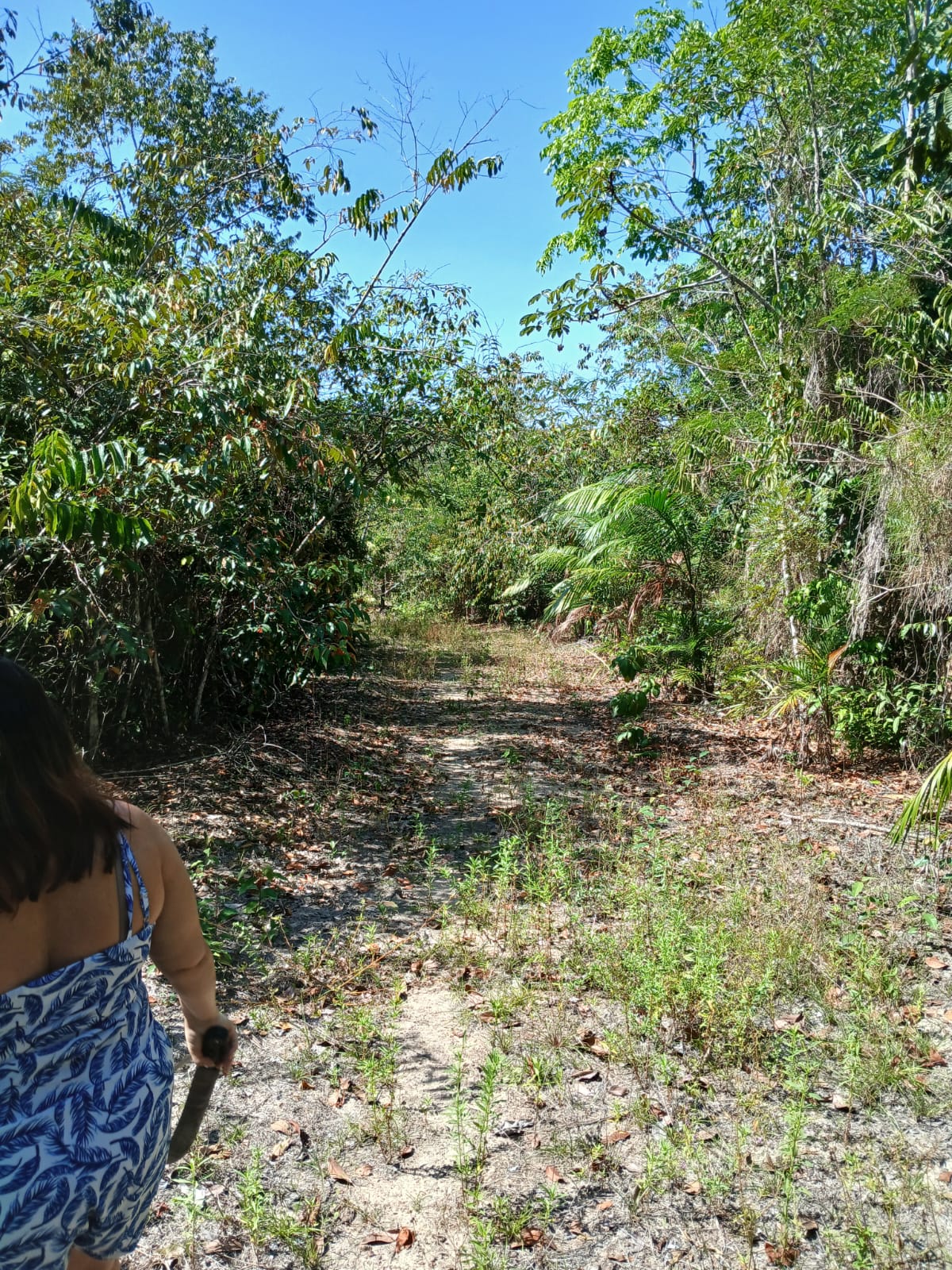 Imagem Terreno à Venda, 80.000 metro em - Bujaru Imagem Terreno à Venda, 80.000 metro em - Bujaru