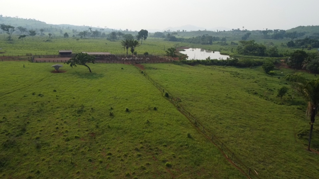 Imagem Fazenda à Venda, 1 m²em Centro  - São Félix do Xingu