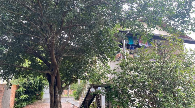 Imagem Casa com 6 Quartos à Venda, 140 m² em São Francisco - Criciúma Imagem Casa com 6 Quartos à Venda, 140 m² em São Francisco - Criciúma