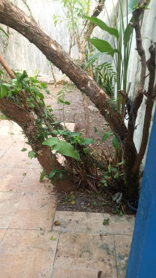 Imagem Casa com 2 Quartos à Venda, 60 m²em Jardim Santa Terezinha - Itanhaém Imagem Casa com 2 Quartos à Venda, 60 m²em Jardim Santa Terezinha - Itanhaém