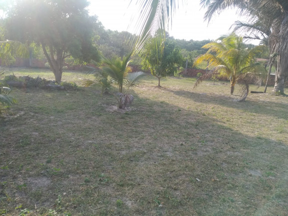 Imagem Terreno à Venda, 5.332 m² em Panaquatira - São José de Ribamar Imagem Terreno à Venda, 5.332 m² em Panaquatira - São José de Ribamar