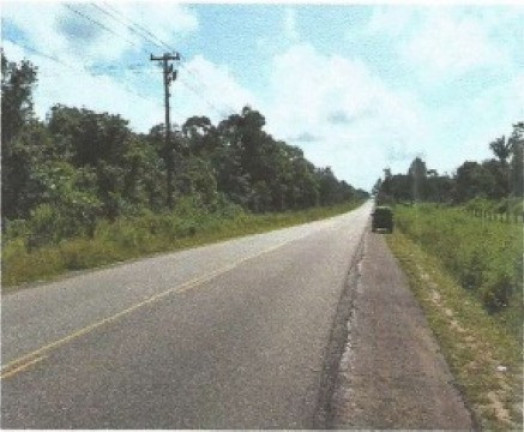 Imagem Fazenda à Venda, 66.246 m² em Zona Rural - Vigia Imagem Fazenda à Venda, 66.246 m² em Zona Rural - Vigia