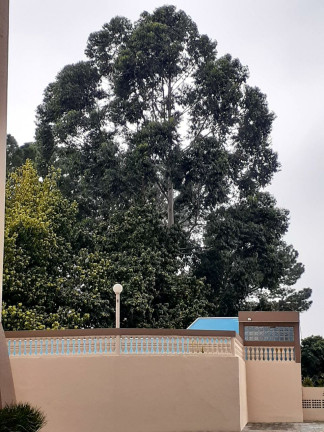 Imagem Apartamento com 2 Quartos à Venda, 60 m² em Macedo - Guarulhos
