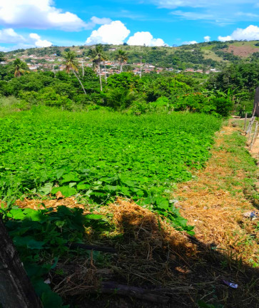 Imagem Terreno à Venda, 690 m² em Matriz - Vitória de Santo Antão Imagem Terreno à Venda, 690 m² em Matriz - Vitória de Santo Antão