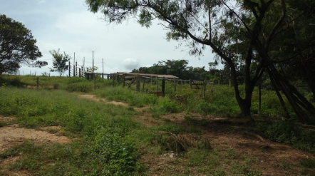 Imagem Fazenda à Venda, 8 Alq GOem Zona Rural - Silvânia Imagem Fazenda à Venda, 8 Alq GOem Zona Rural - Silvânia