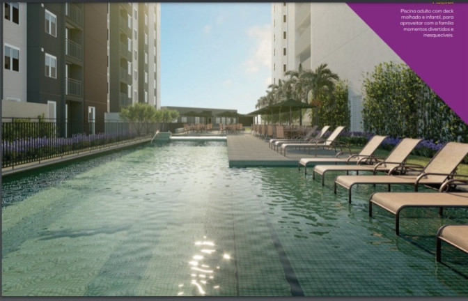 Imagem Apartamento com 2 Quartos à Venda, 41 m² em Vila Moreira - São Paulo Imagem Apartamento com 2 Quartos à Venda, 41 m² em Vila Moreira - São Paulo