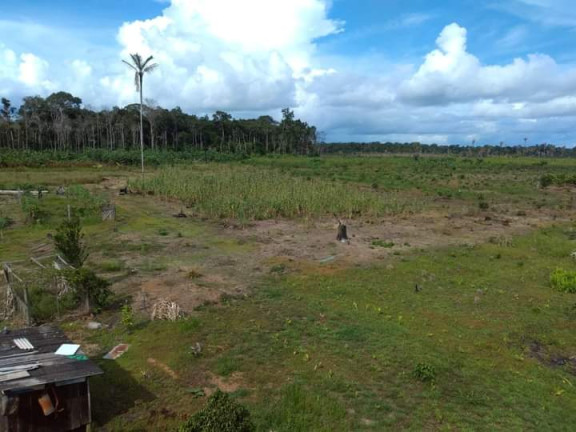 Imagem Terreno à Venda, 4.000 m² em Zona Rural - Humaitá Imagem Terreno à Venda, 4.000 m² em Zona Rural - Humaitá