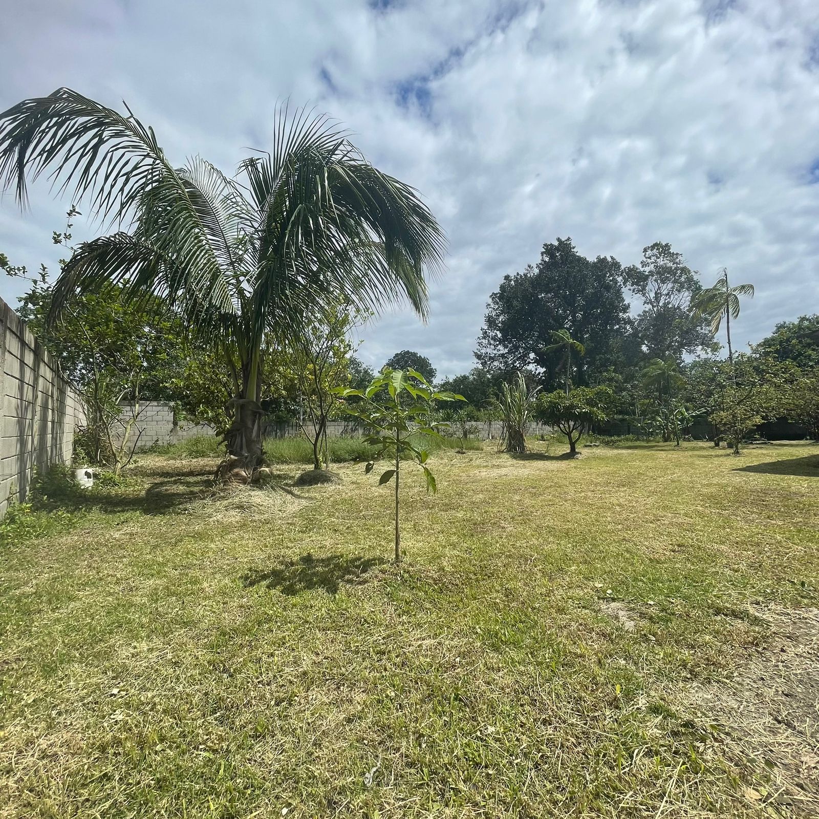 Imagem Chácara com 2 Quartos à Venda, 60 m²em Balneário Gaivota - Itanhaém Imagem Chácara com 2 Quartos à Venda, 60 m²em Balneário Gaivota - Itanhaém