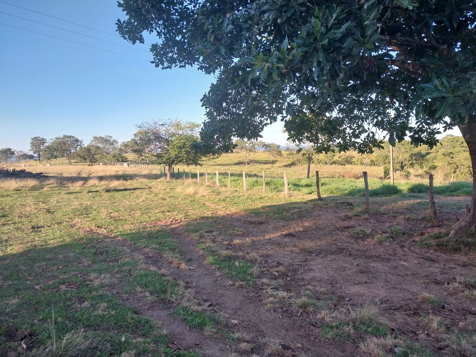 Imagem Fazenda à Venda, 353 HAem ZONA RURAL - Alto Araguaia