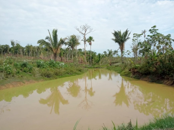 Imagem Terreno à Venda, 2.000 m² em Zona Rural - Humaitá