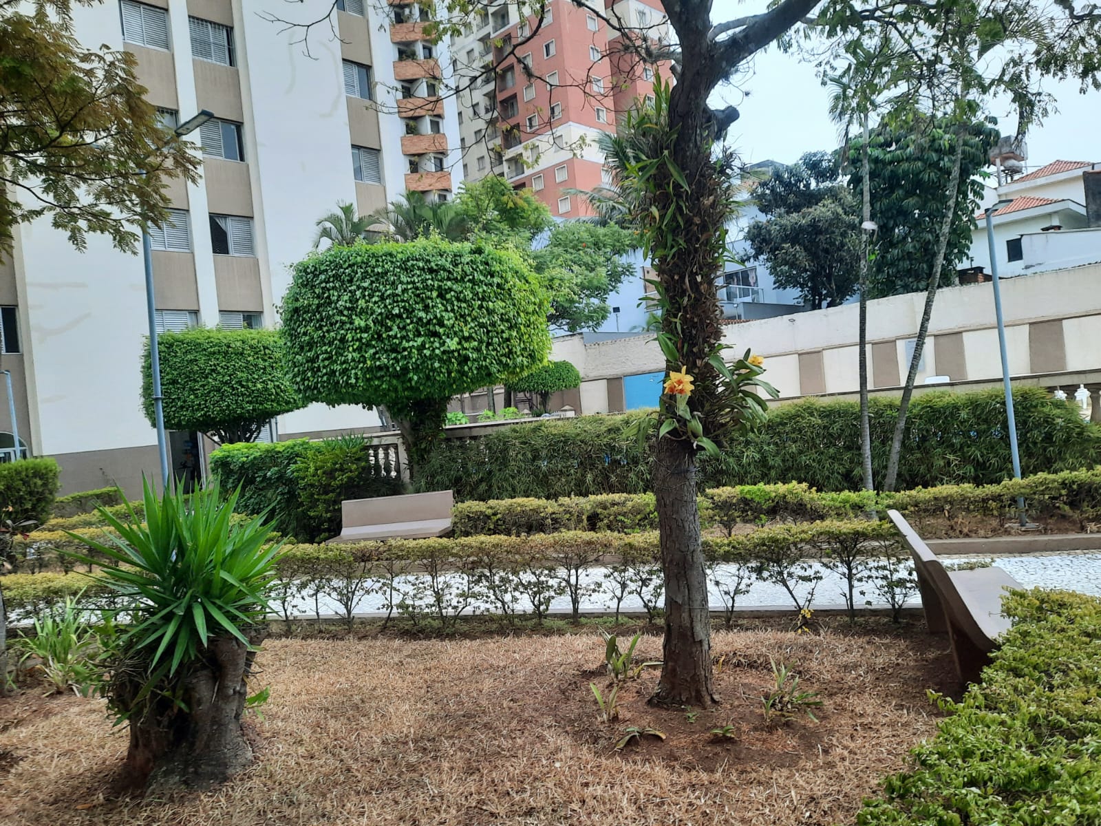Imagem Apartamento com 3 Quartos à Venda, 110 m² em Vila Prudente - São Paulo
