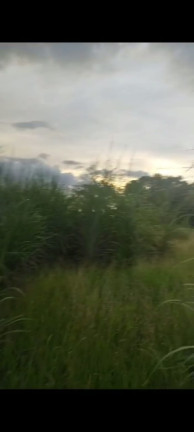 Imagem Terreno à Venda, 20.000 m² em Chácaras Brasil B - Valparaíso de Goiás Imagem Terreno à Venda, 20.000 m² em Chácaras Brasil B - Valparaíso de Goiás