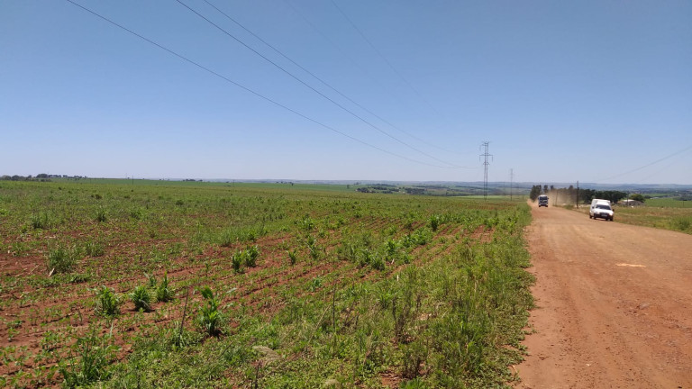Imagem Fazenda à Venda,  em Gleba Ribeirão Maringá - Maringá