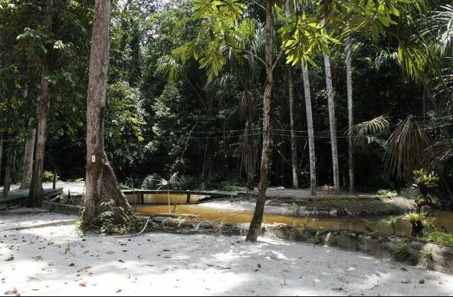 Imagem Chácara com 6 Quartos à Venda, 1 m² em área Rural - Manaus