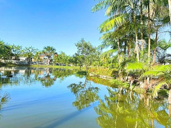Imagem Chácara com 3 Quartos à Venda, 16.900 m² em Pau Darco - Santa Bárbara do Pará