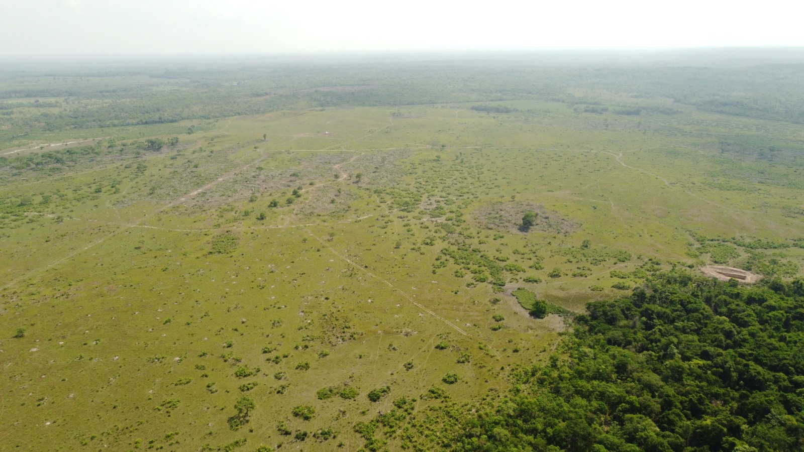 Imagem Fazenda à Venda, 523.000 HA em Mata Geral - Redenção Imagem Fazenda à Venda, 523.000 HA em Mata Geral - Redenção