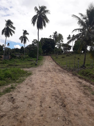 Imagem Terreno à Venda, 200 m²em Várzea da Meira (Monte Gordo) - Camaçari Imagem Terreno à Venda, 200 m²em Várzea da Meira (Monte Gordo) - Camaçari