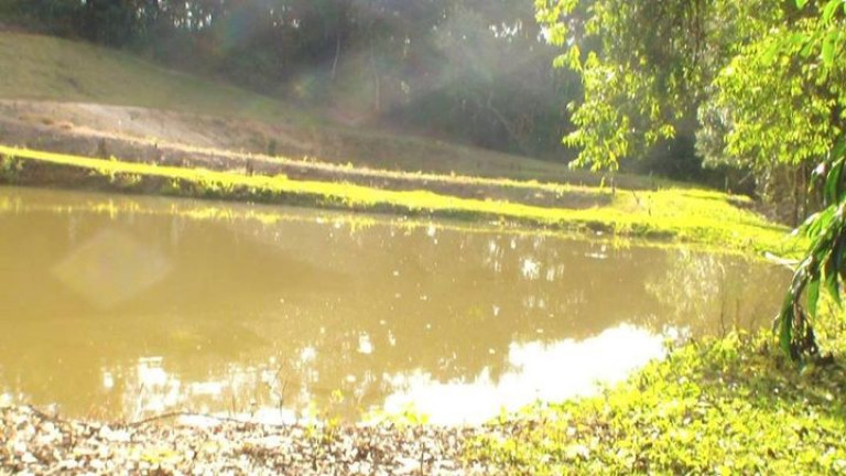 Imagem Chácara com 3 Quartos à Venda, 96.800 m² em Jardim Santa Esmeralda - Sorocaba Imagem Chácara com 3 Quartos à Venda, 96.800 m² em Jardim Santa Esmeralda - Sorocaba