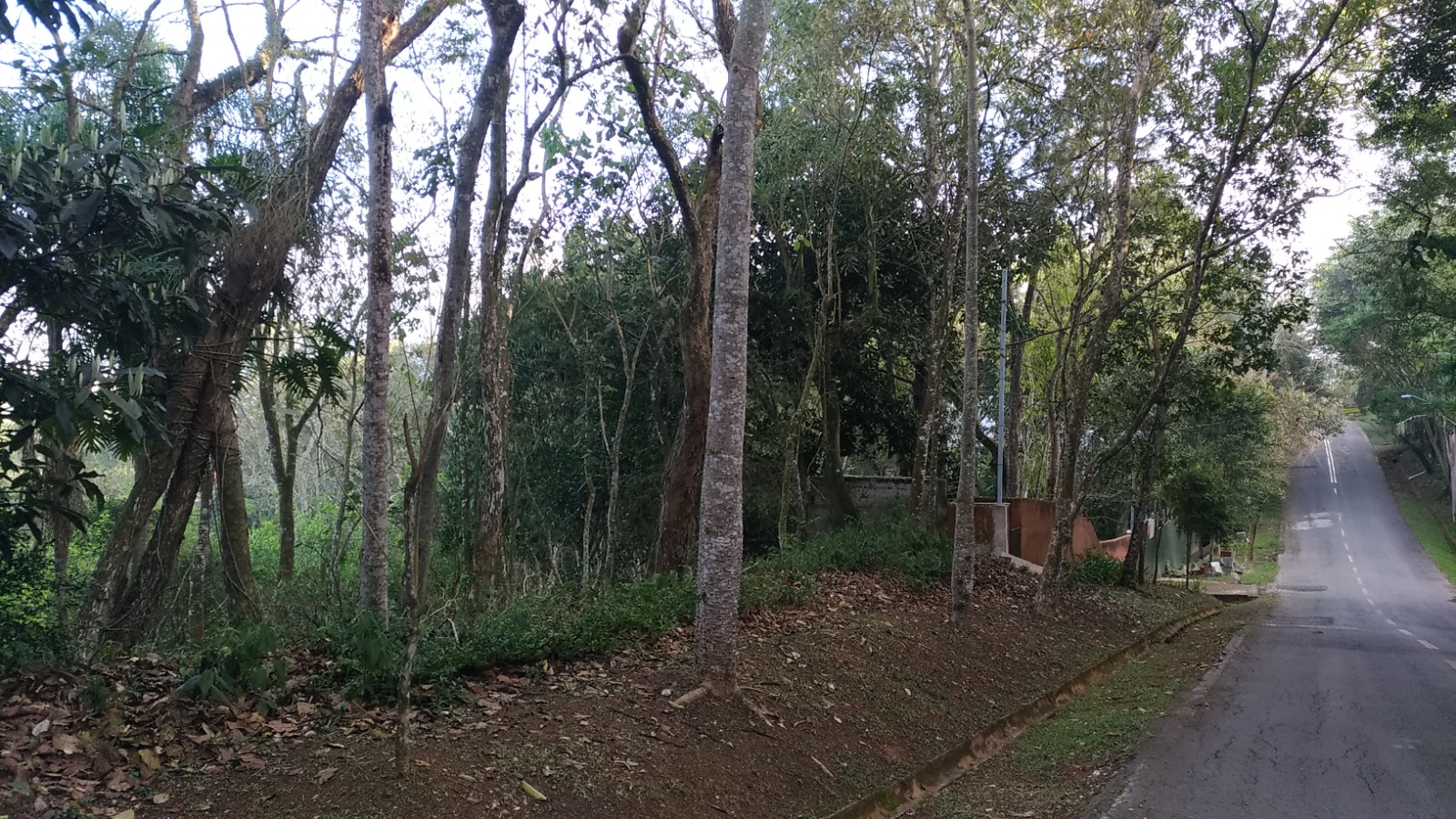 Imagem Terreno à Venda, 1 m²em Chácara Represinha - Cotia Imagem Terreno à Venda, 1 m²em Chácara Represinha - Cotia
