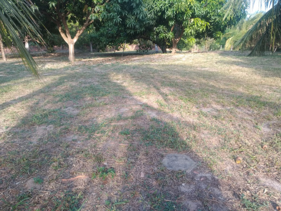 Imagem Terreno à Venda, 5.332 m² em Panaquatira - São José de Ribamar Imagem Terreno à Venda, 5.332 m² em Panaquatira - São José de Ribamar