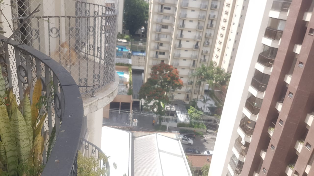 Imagem Apartamento com 3 Quartos à Venda, 85 m² em Moema - São Paulo Imagem Apartamento com 3 Quartos à Venda, 85 m² em Moema - São Paulo