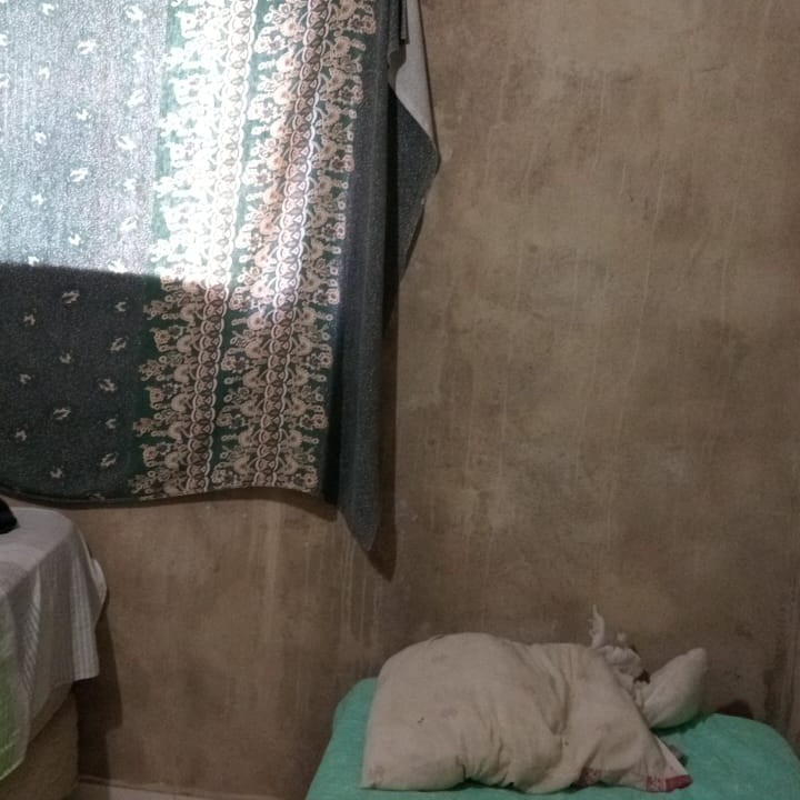 Imagem Casa com 2 Quartos à Venda, 70 m²em Itinga - Lauro de Freitas
