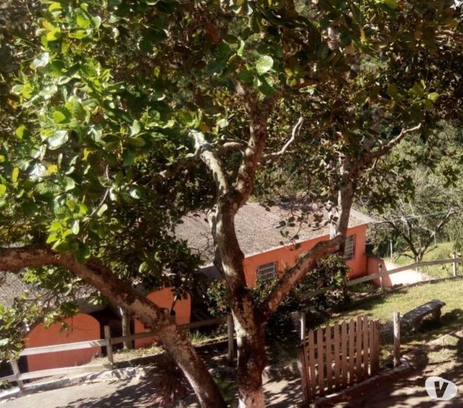 Imagem Chácara com 7 Quartos à Venda, 250 m² em Gravatá Centro - Gravatá