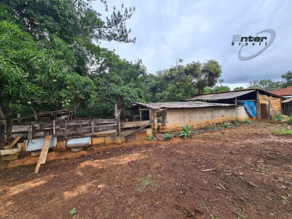 Imagem Fazenda à Venda, 24 HA em brazlandia - Brasília Imagem Fazenda à Venda, 24 HA em brazlandia - Brasília
