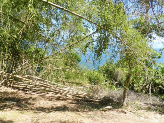 Imagem Terreno à Venda, 58.000 m² em Centro Histórico (Paraty) - Paraty